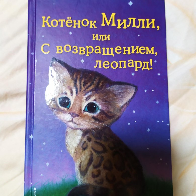 холли вебб котенок