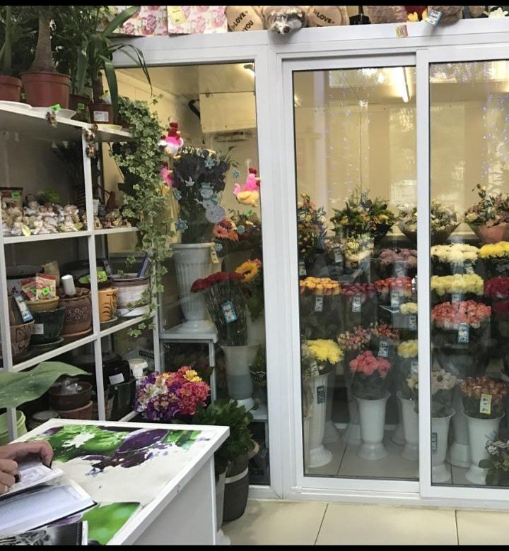 Холодильник для цветов – купить в Москве, цена 45 000 руб., продано 18 ...