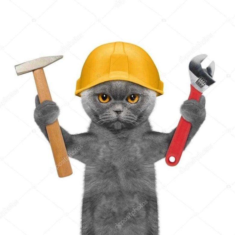 Кот с молотком мем