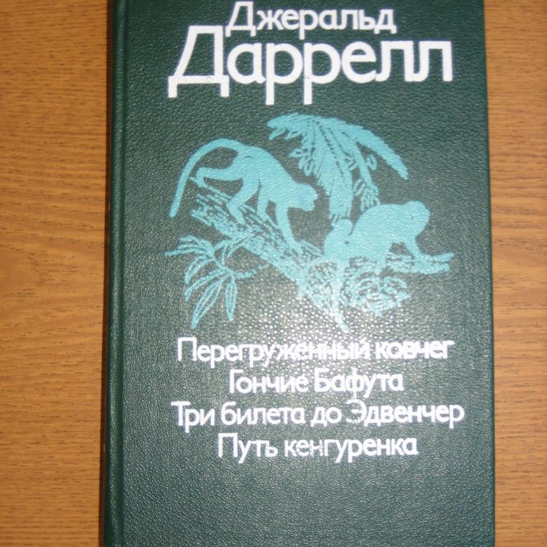 Гончие бафута картинки