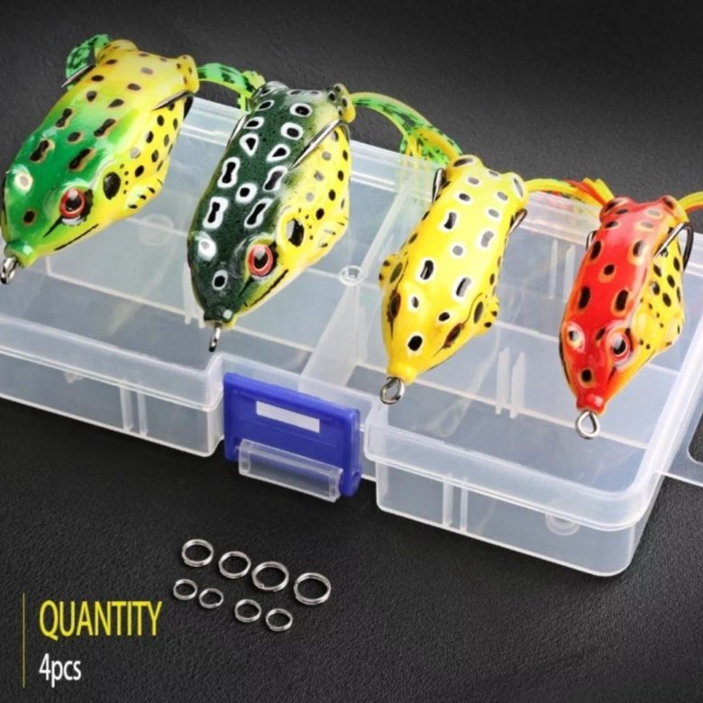 Frog box. Frog box
