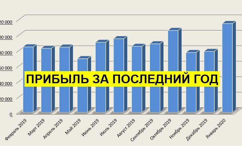 Топ 3 интернет магазинов России. Топ прибыли магазины в РФ.