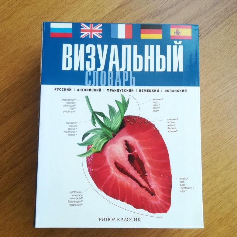 Визуальный словарь. Визуальный словарь 5 языков. Русско-англо-французский визуальный словарь. Русско-английский визуальный словарь Рипол. Ripol Classic визуальный словарь.