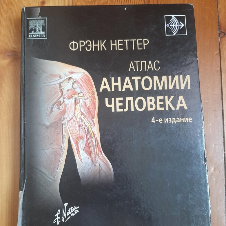 Фрэнк неттер. Фрэнк Неттер атлас анатомии. Фрэнк Неттер анатомия. Атлас Неттера по анатомии. Атлас анатомии человека Фрэнк Неттер 4 издание.