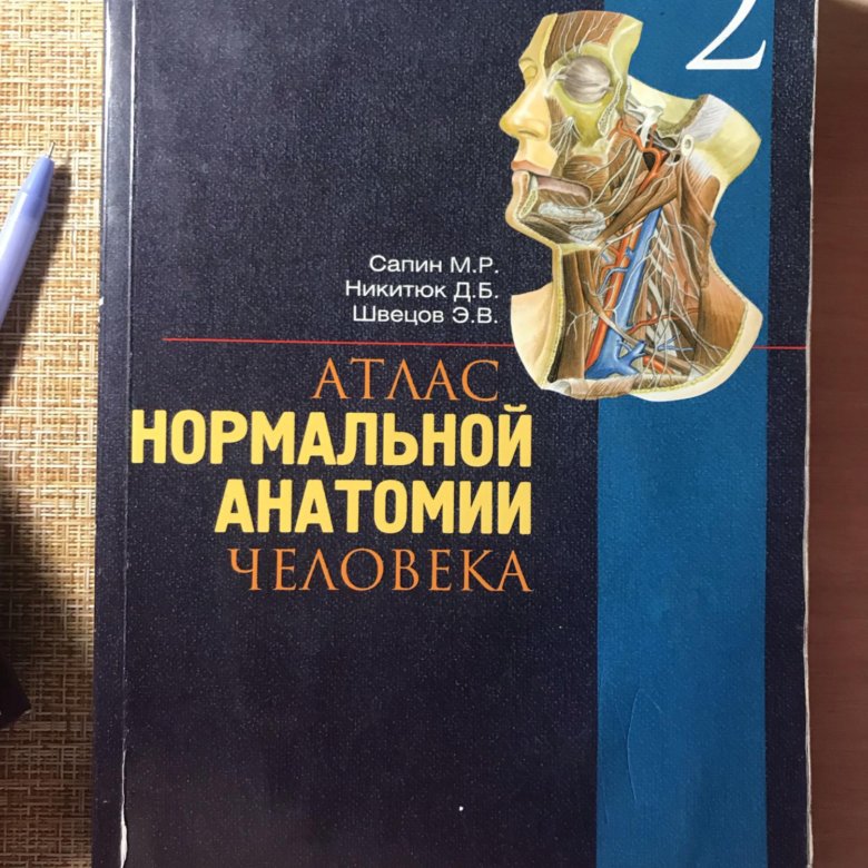 Атлас нормальной анатомии. Анатомия человека 2 том Сапин Билич. Атлас анатомии человека Сапин. Сапин Никитюк Швецов атлас нормальной анатомии человека. Атлас анатомии человека Сапин 1 том.