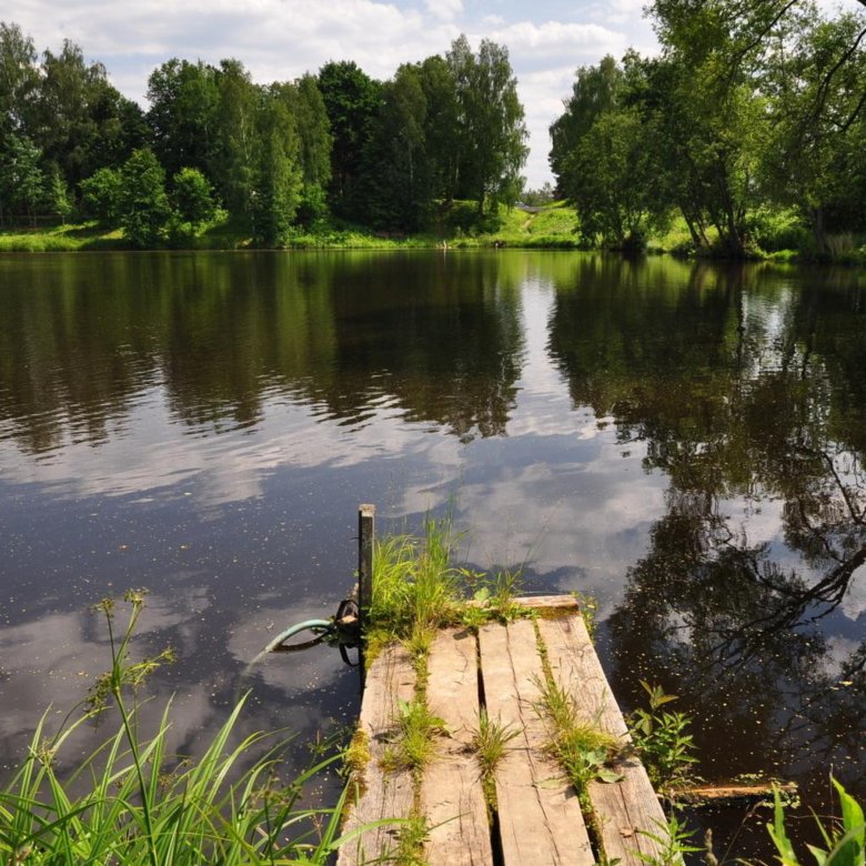 Берег речки в деревне