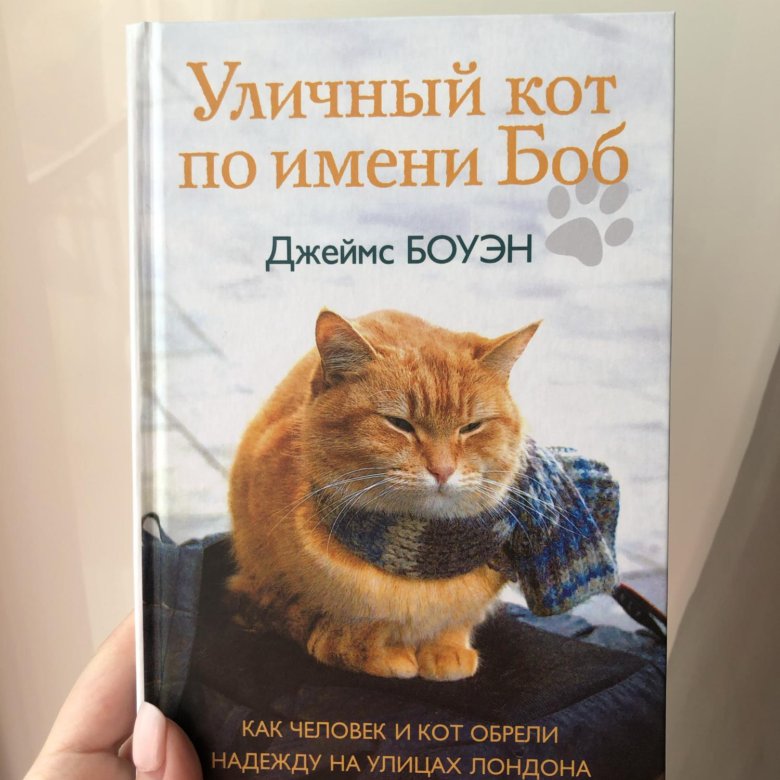 Уличный кот по имени Боб книга – купить в Москве, цена 200 руб ...