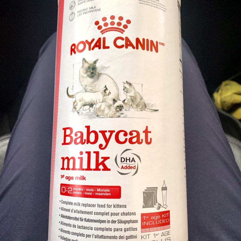 Royal canin babycat. Роял Канин Babycat Milk. Смесь Royal Canin Babycat Milk. Роял Канин Милк для котят. Смесь для котят Royal Canin Babycat Milk.
