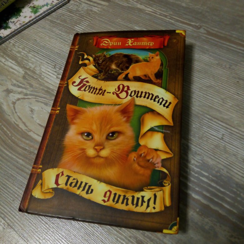 Книга стань диким. Книга коты Воители Стань диким.