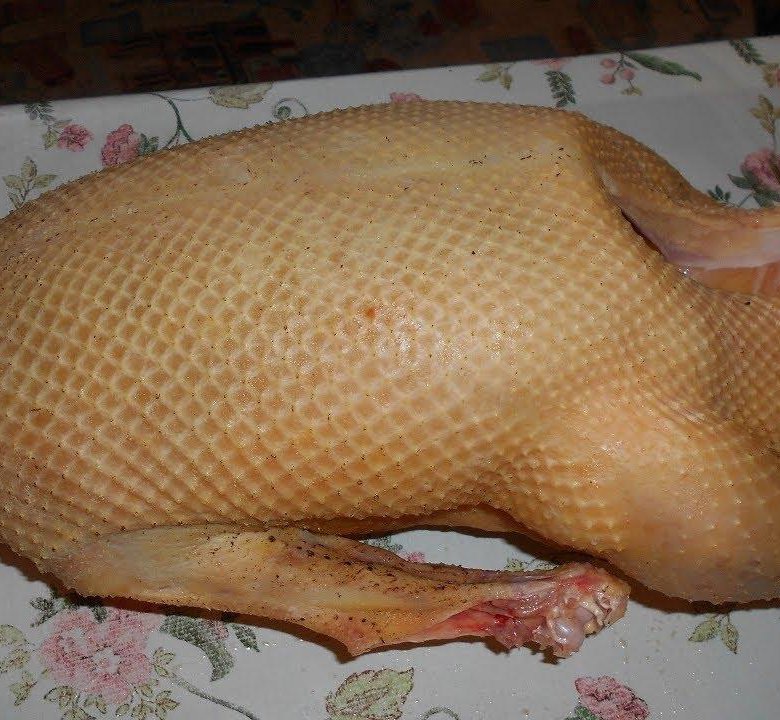 Утка мясо ассортименте. Утиная тушка. Утка мясо. Авито мясо утки. Тушка гуся.