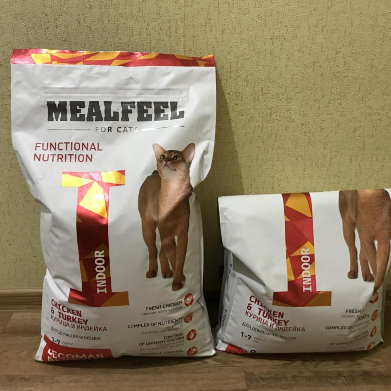 Корм для кошек мелфил. Сухой корм для кошек premier. Корма для индейки. Влажный корм для котят mealfeel. Корм для кошек бельгия.