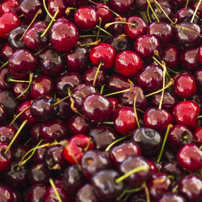 Девушка ест черешню. Черешня. Черешня домашняя. Много черешни. Фрукты вишня.