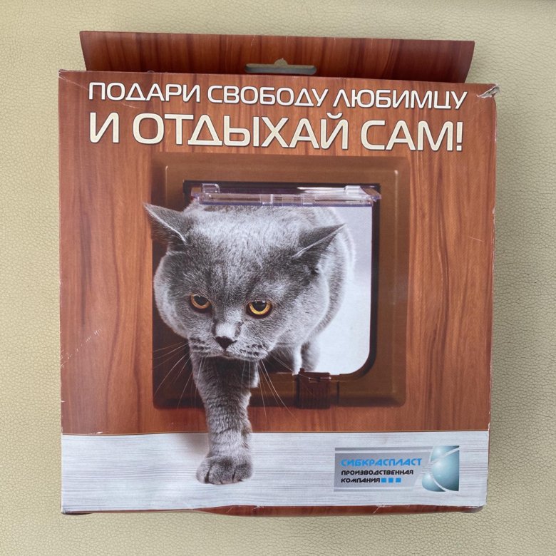 Бесплатная доска объявлений животных. Атлас пород кошек. Атлас пород кошек книга. Атласная кошка. Топографический атлас кошки