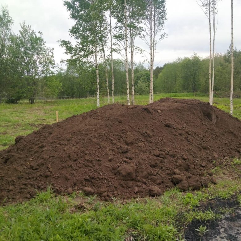 Плодородная земля в твери. Плодородная земля в твери. Плодородная земля. Плодородная земля в твери. Плодородная земля в твери.