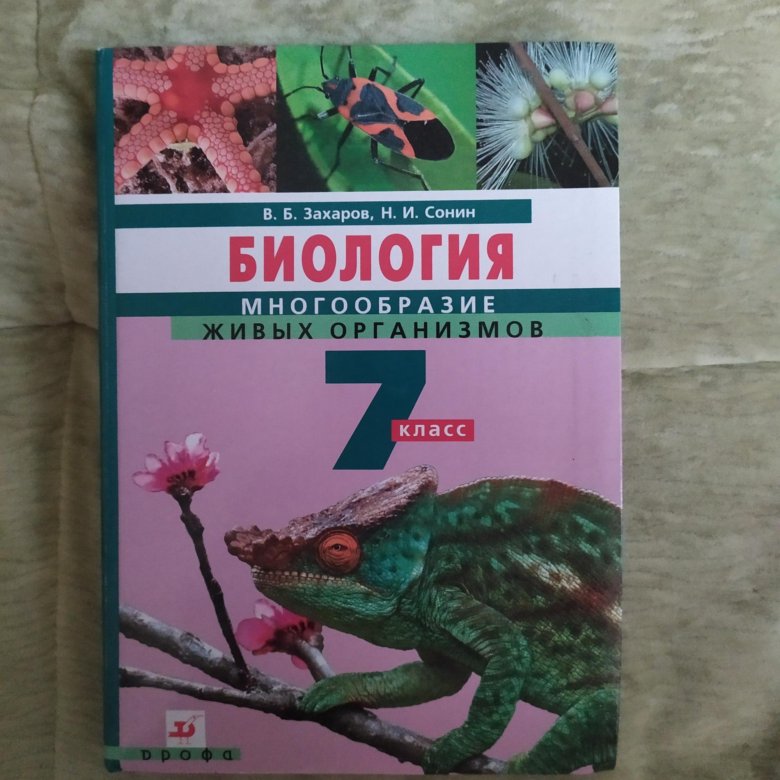 Презентация жизнь под угрозой 5 класс сонин фгос