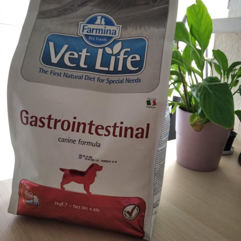 Vet life gastrointestinal купить. VETLIFE гастроинтестинал для собак. Vet Life Gastrointestinal для кошек. Vet Life Gastrointestinal для кошки 12 баночек. Vet Life Gastrointestinal для собак купить.