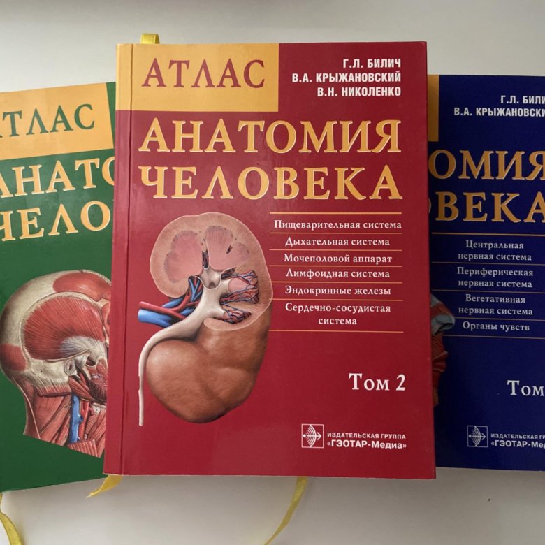 Атлас анатомия человека том 2. Атлас анатомии человека. Том 2 1979. Атлас анатомии человека том 3. Атлас анатомия человека в трех томах. 3в атлас анатомии человека Стойлера.