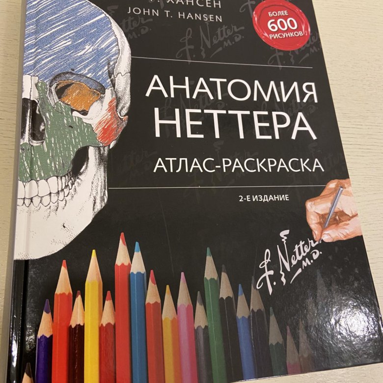 Атлас раскраска неттера. Атлас Фрэнка Неттера анатомия человека 8-е издание 2018 г. Москва.