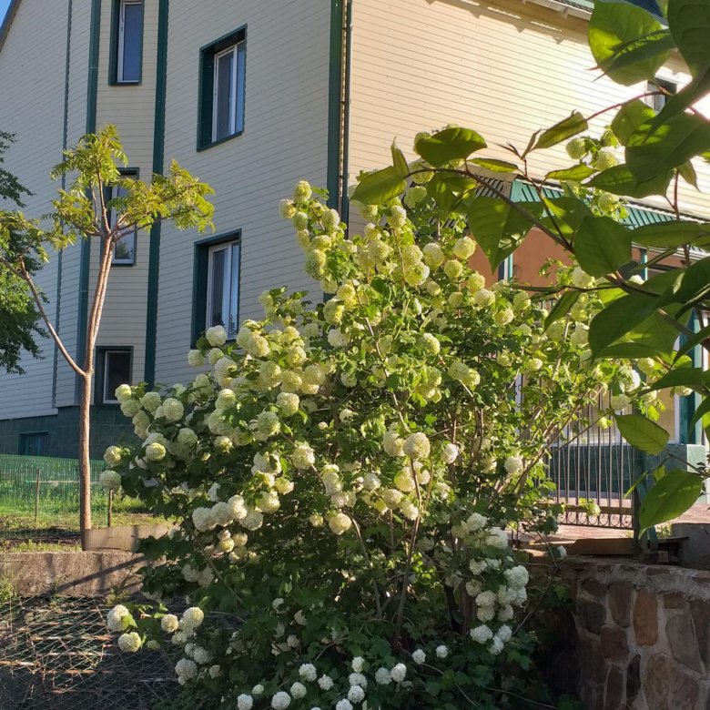 Дом, 490 м² – купить в Ставрополе, цена 29 500 000 руб., дата ...