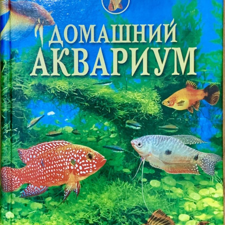Книги про рыб. Книга про аквариумных рыбок. Домашний аквариум книга. Аквариумные рыбки книжка. Книги про аквариумистику.