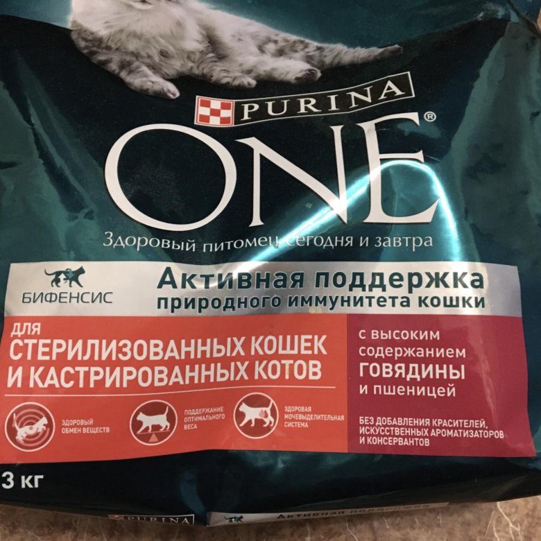 Сухой корм для кошек Purina one 3 кг. Purina one 3 кг для стерилизованных. Корм Пурина для стерилизованных кошек 3 кг. Пурина оне или ПРОБАЛАНС.