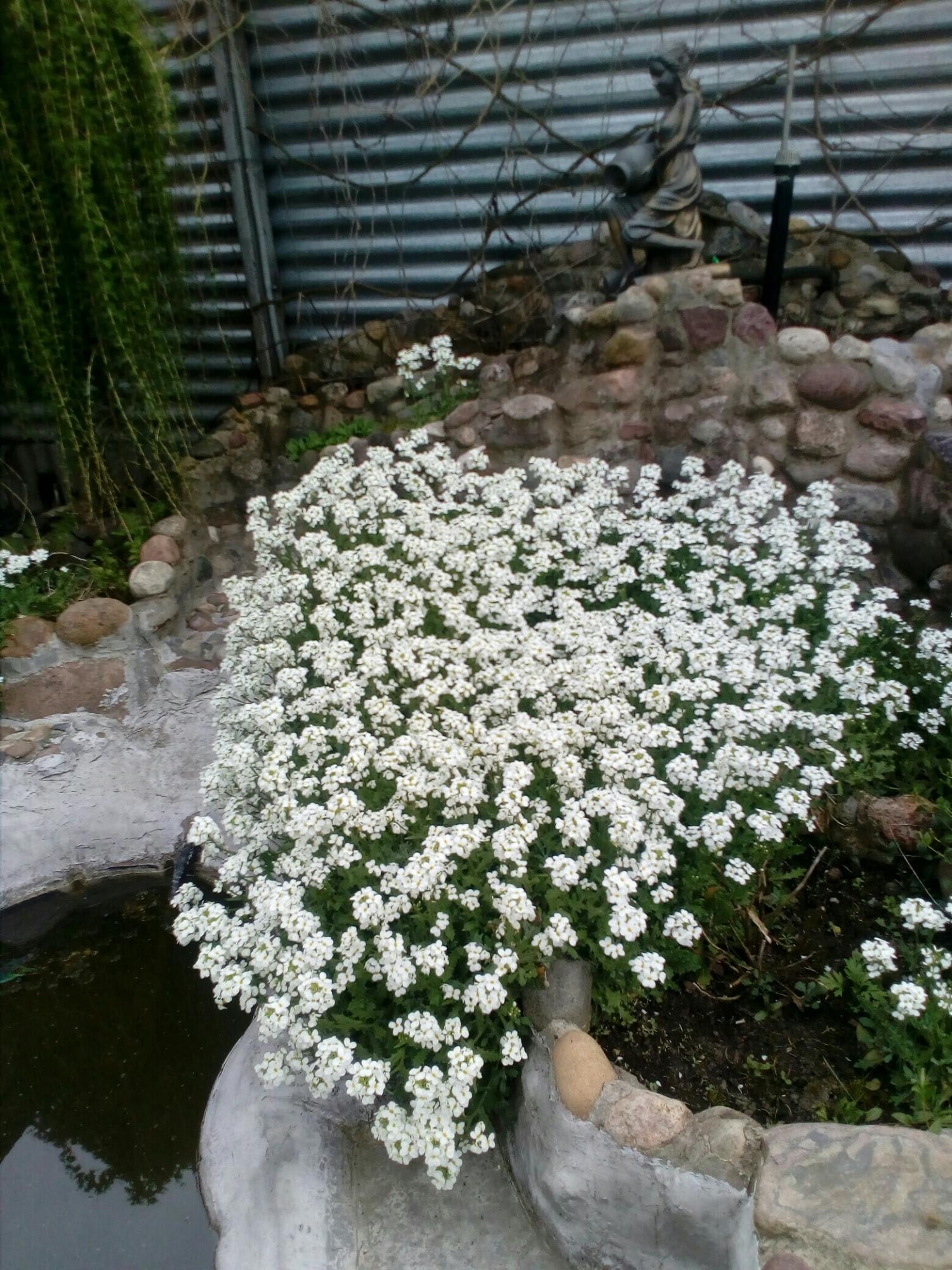 Мягкая мебель в струнино