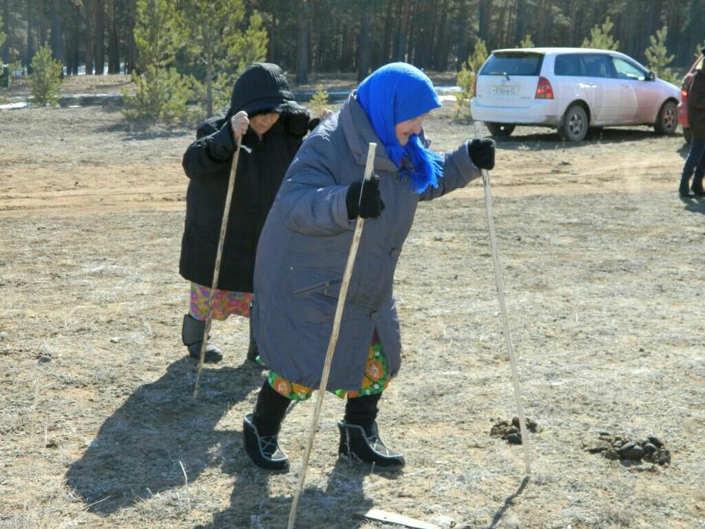 Добрый ходи. Скандинавская ходьба,f,eirb. Скандинавская ходьба бабушки. Бабушки с палками для скандинавской ходьбы. Скандинавская ходьба смешное.