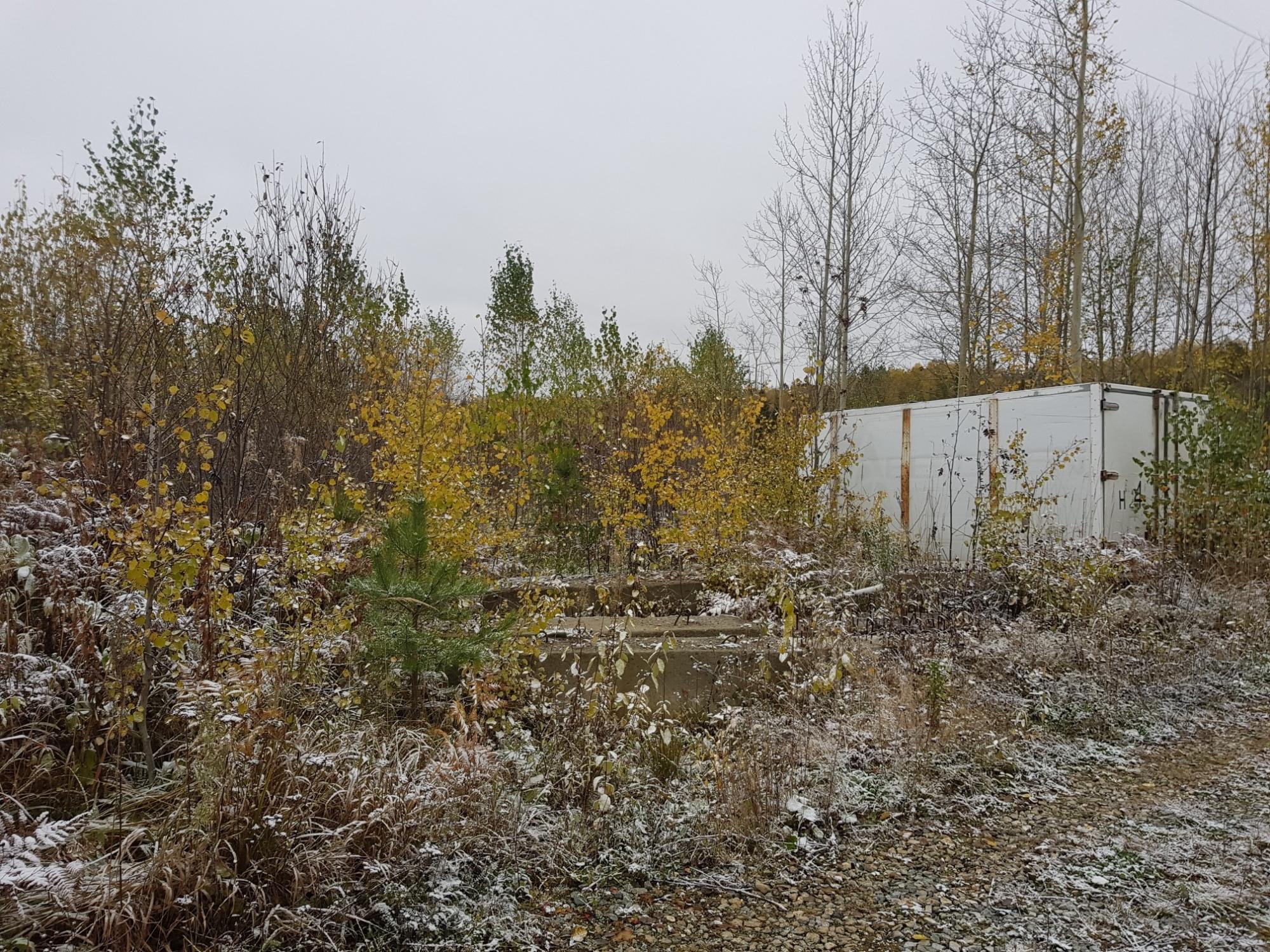 бегущая строка белая. бегущая строка белая светодиодная. интерсервис надым.