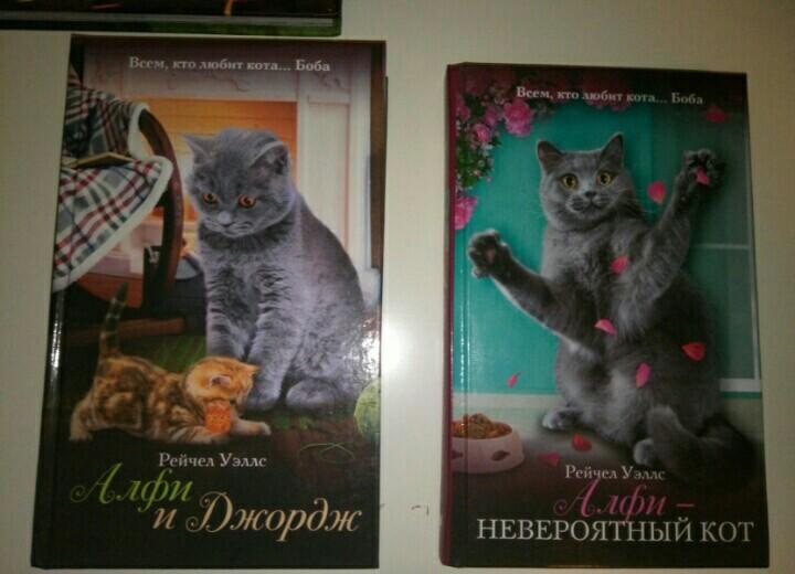 алфи и джордж рейчел уэллс книга. алфи невероятный кот рейчел уэллс книга. рэйчел уэллс кот по имени алфи. клички для котов. рэйчел уэллс кот по имени алфи.
