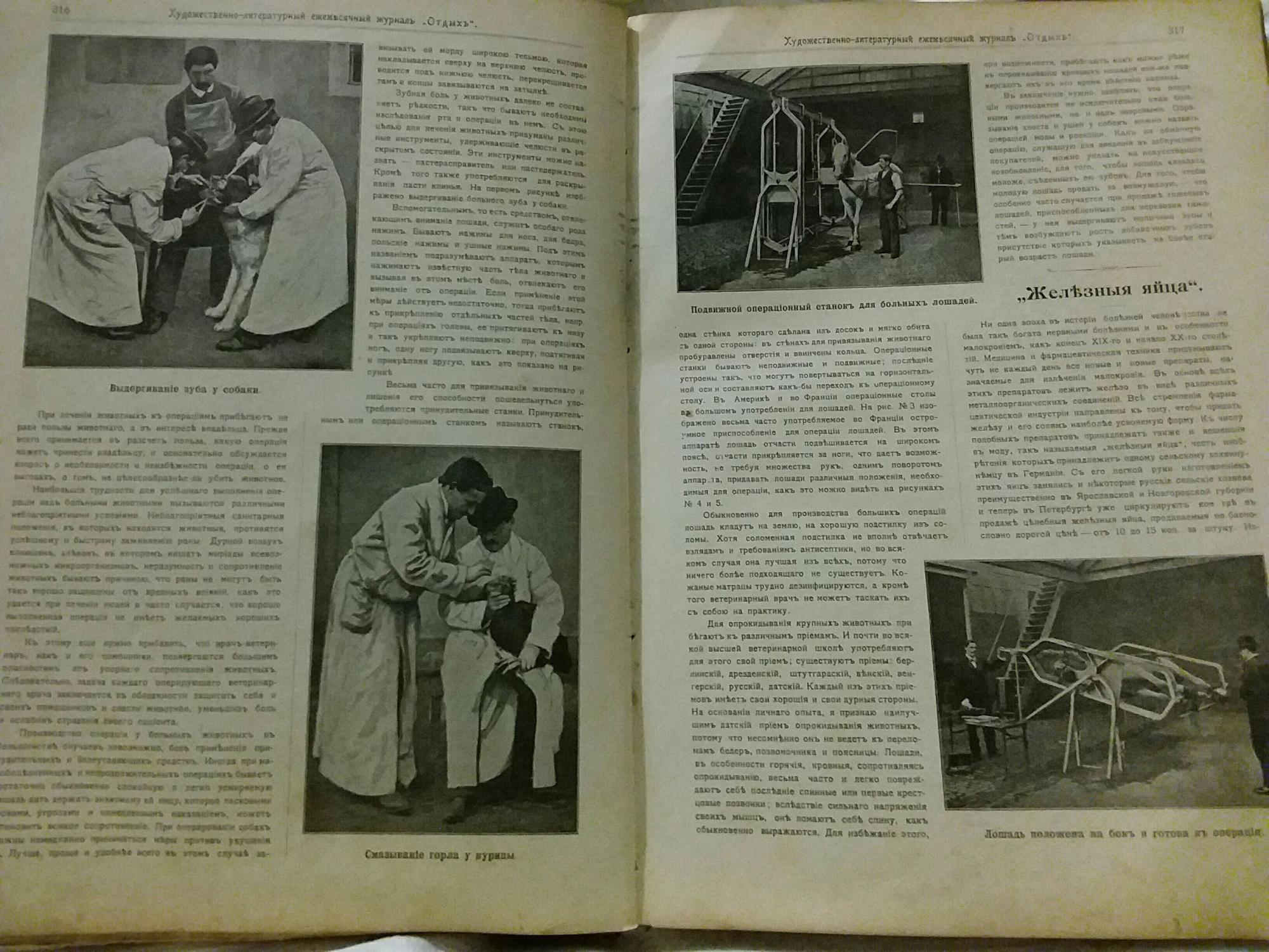 1901 год книга. 1901 Год журналы. Книга медсестры 1901 года. Старая книга медсестры 1901. Руководство для медсестер 1901.