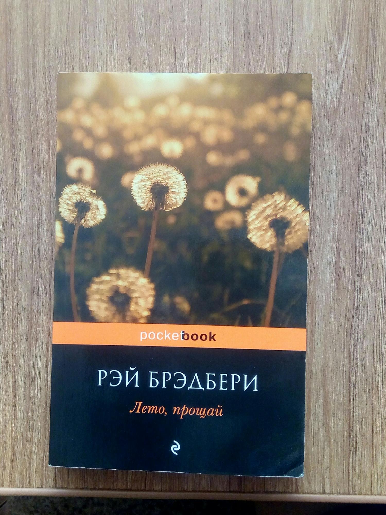 Брэдбери лето в один день. Лето с книгой.