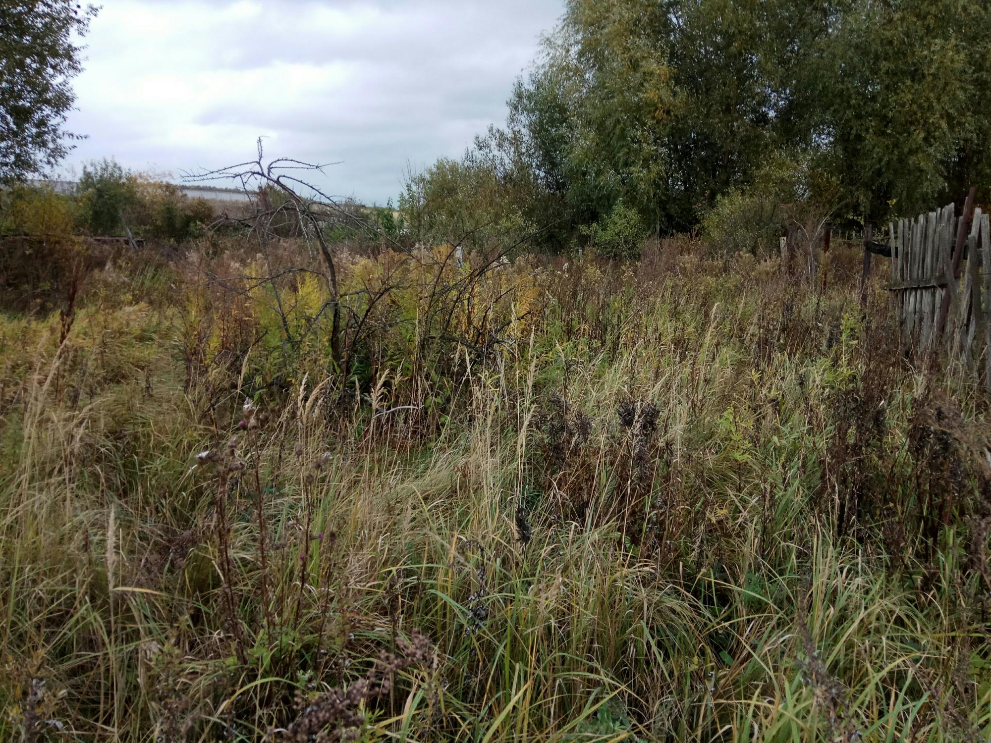 красково снт