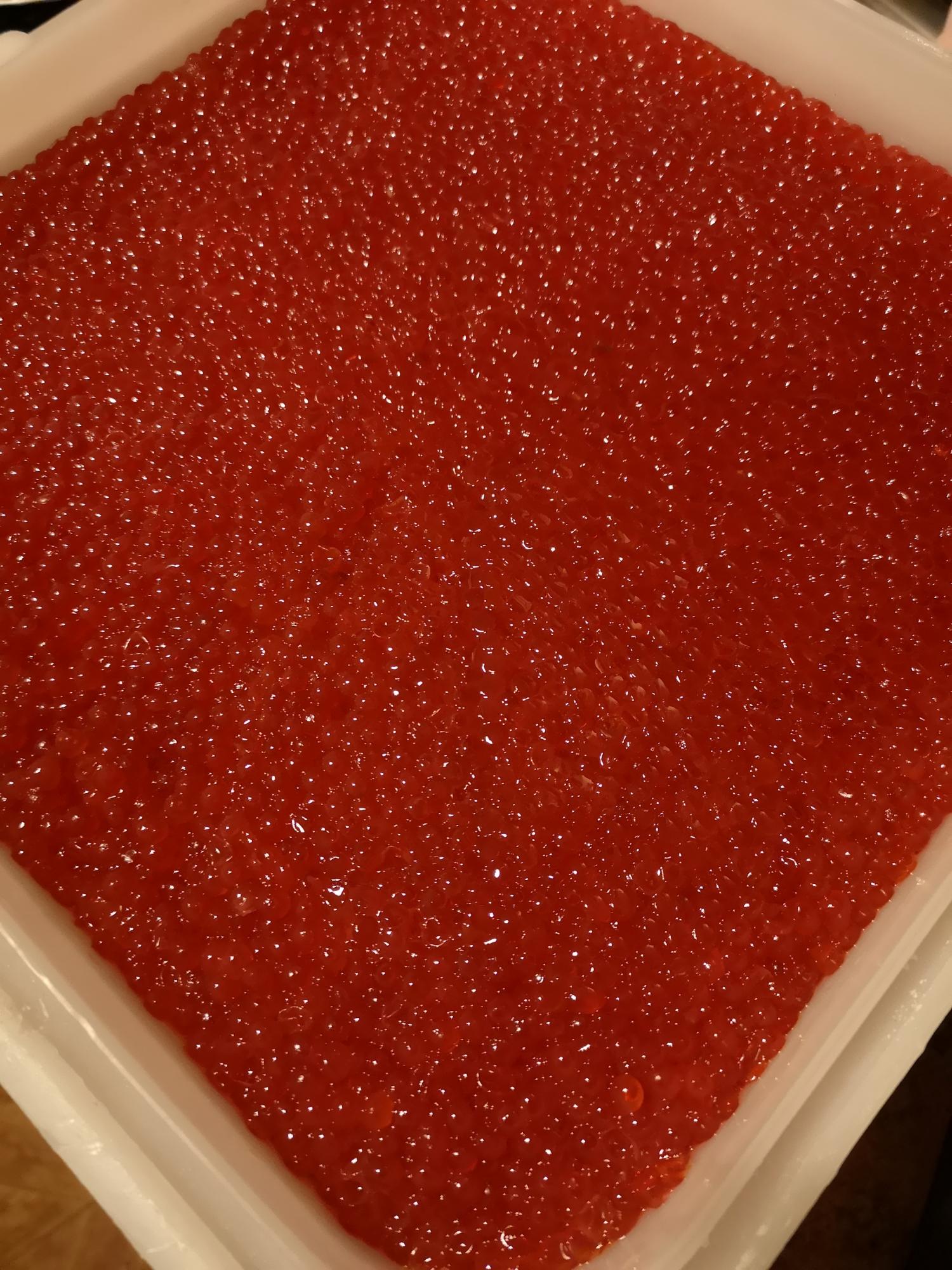 Икра форели или горбуши. Red Salmon Caviar. Pink Salmon Caviar икра горбуши. Икра кеты горбуши форели. Красная икра Фарель в Москве.