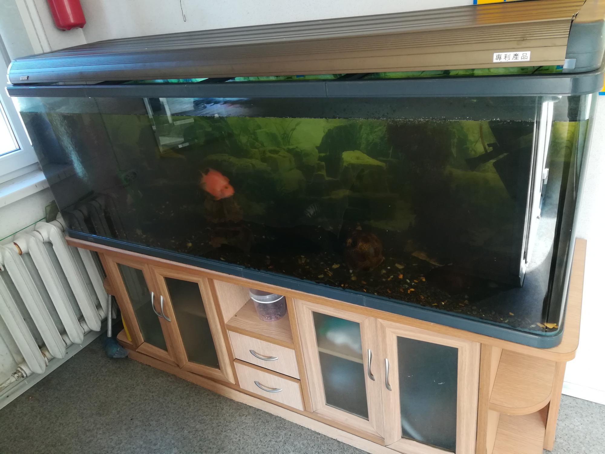 тумба под аквариум 600 литров