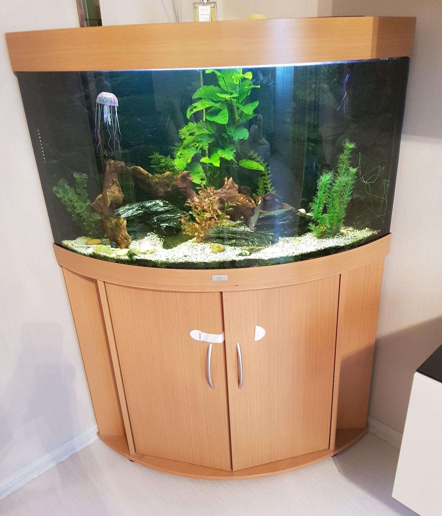 аквариум 150 литров с тумбой угловой