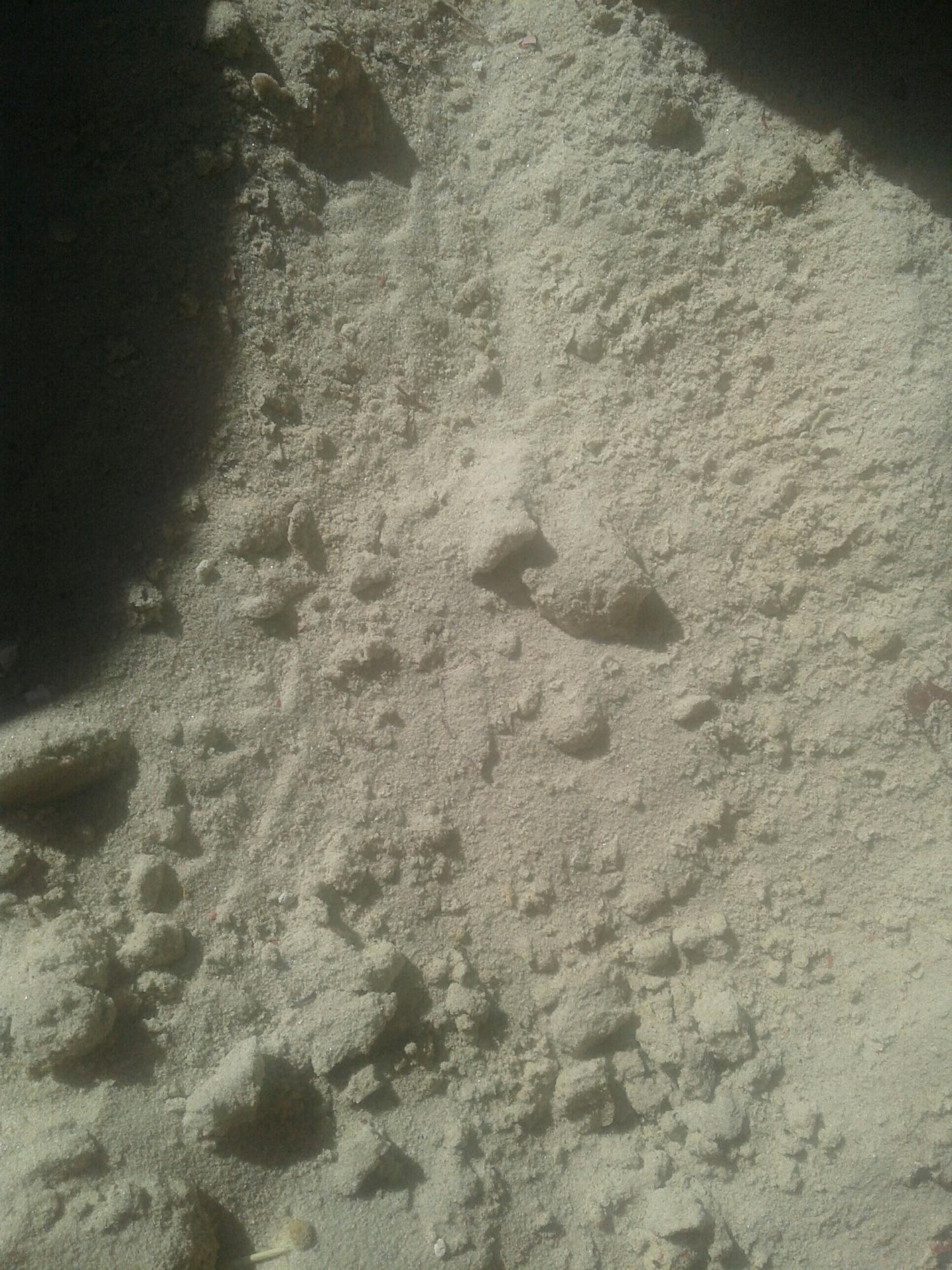 Белый песок(кварцевый) - фотография № 1
