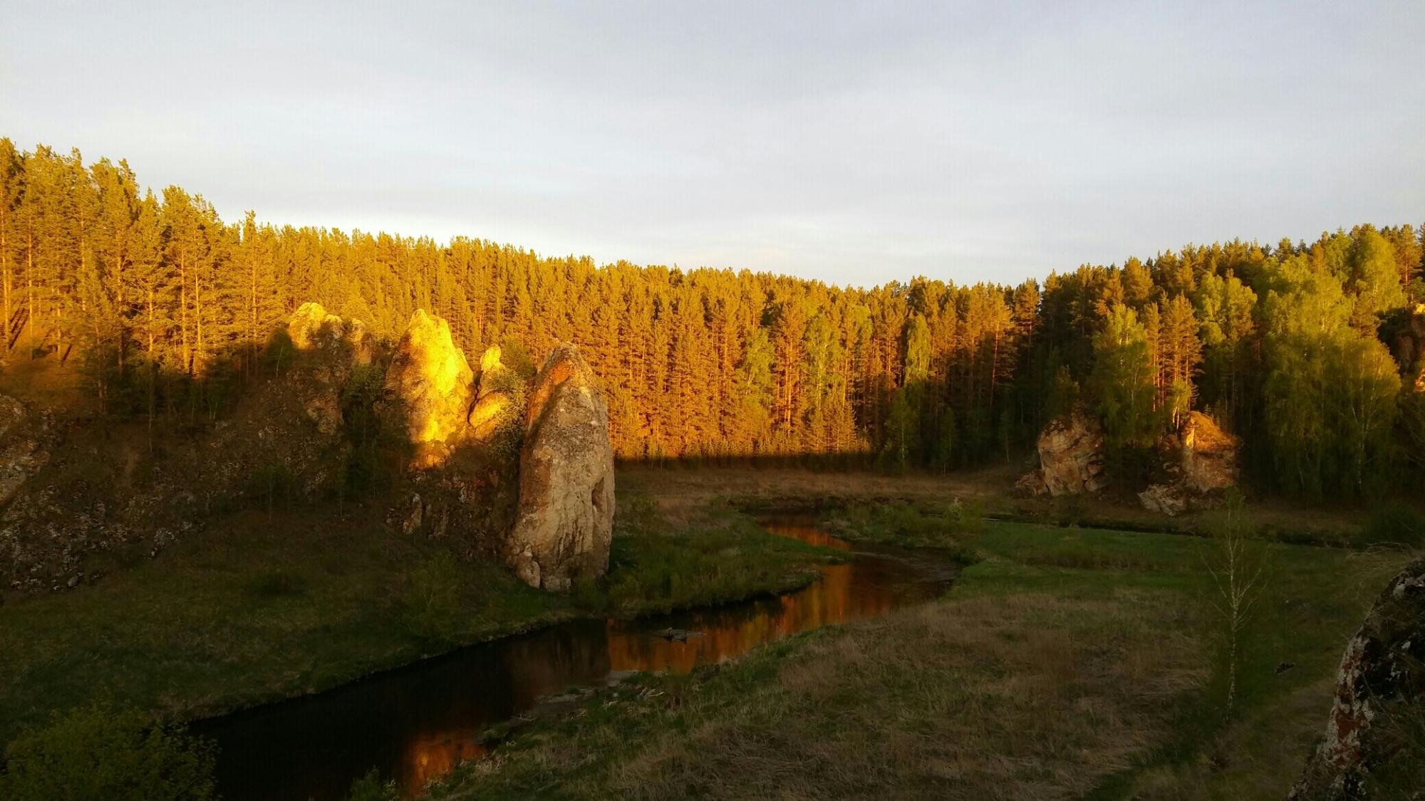 Купить землю в Сухом Логе