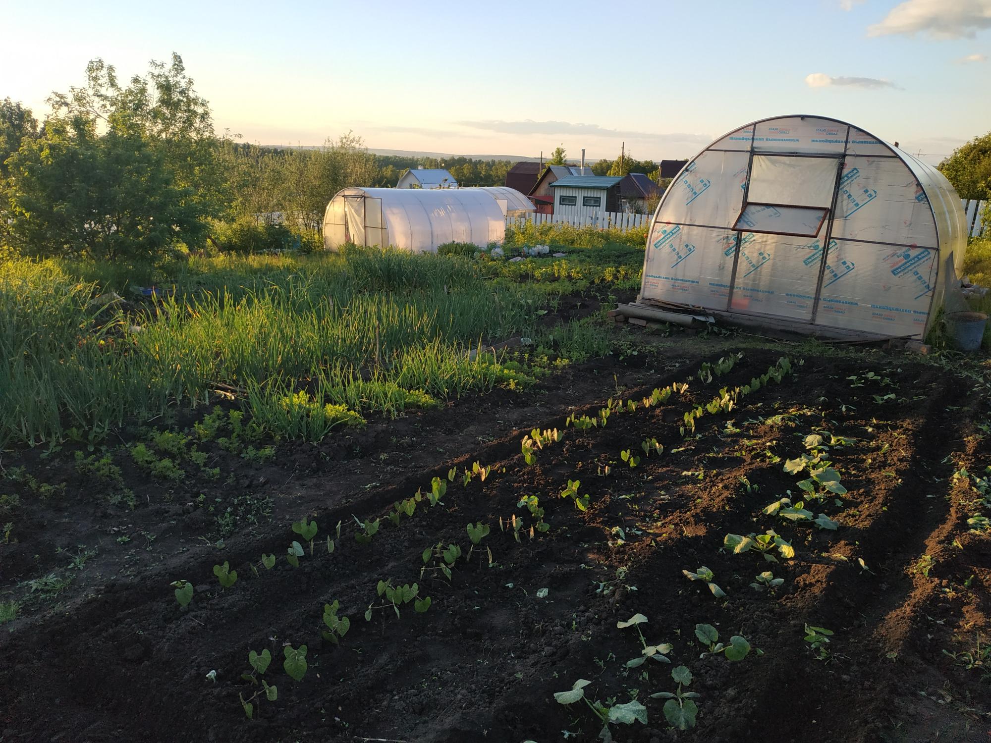 Участок, 11 сот., сельхоз (снт или днп), цена 680000 руб. купить в  Новокузнецке