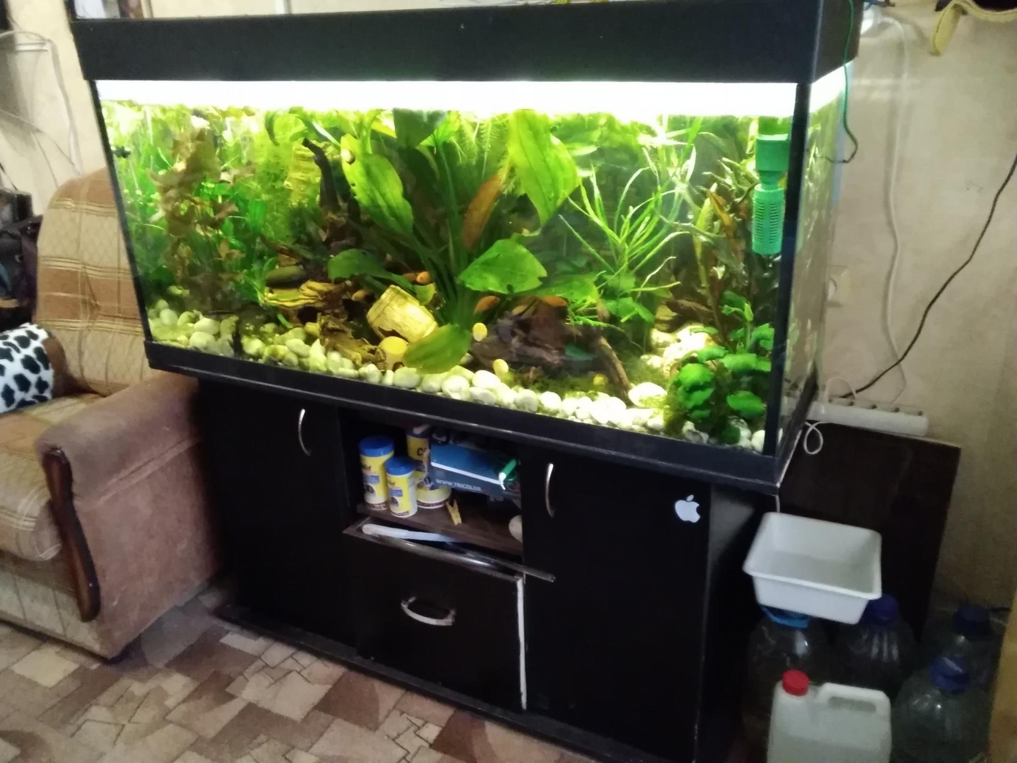 аквариум тетра 100 литров с тумбой