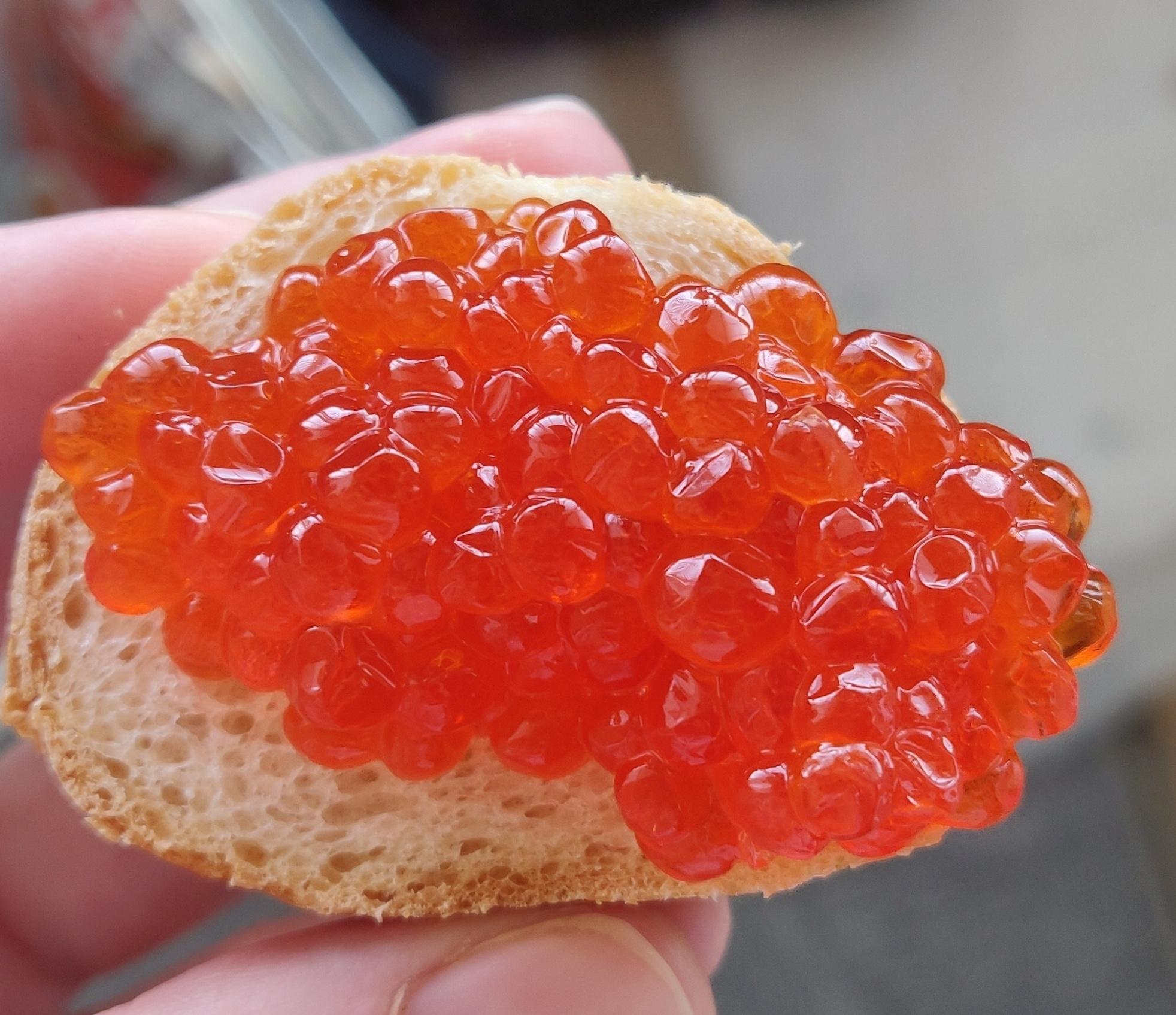 Pink Salmon Caviar икра красная