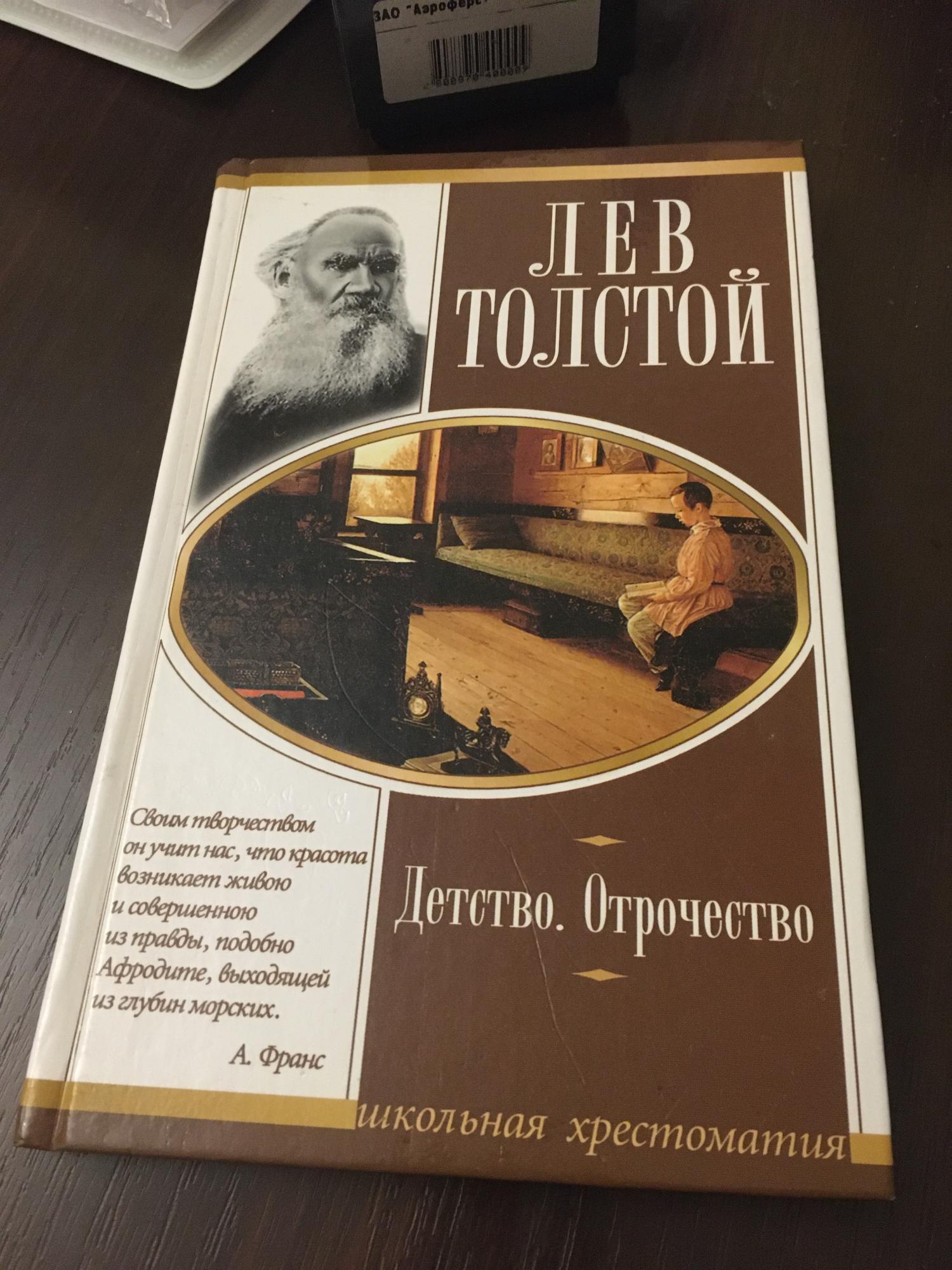 Детство толстой книга отзывы