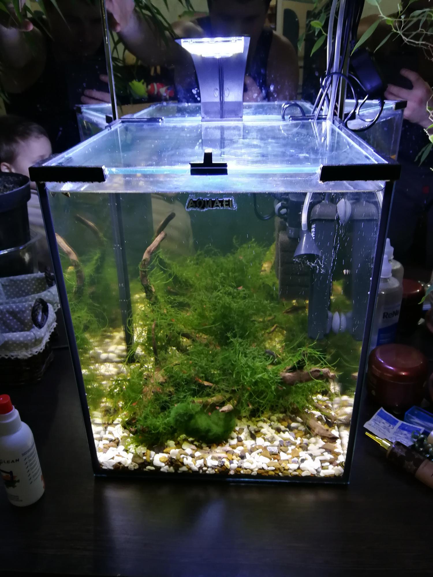 аквариум куб 30 литров