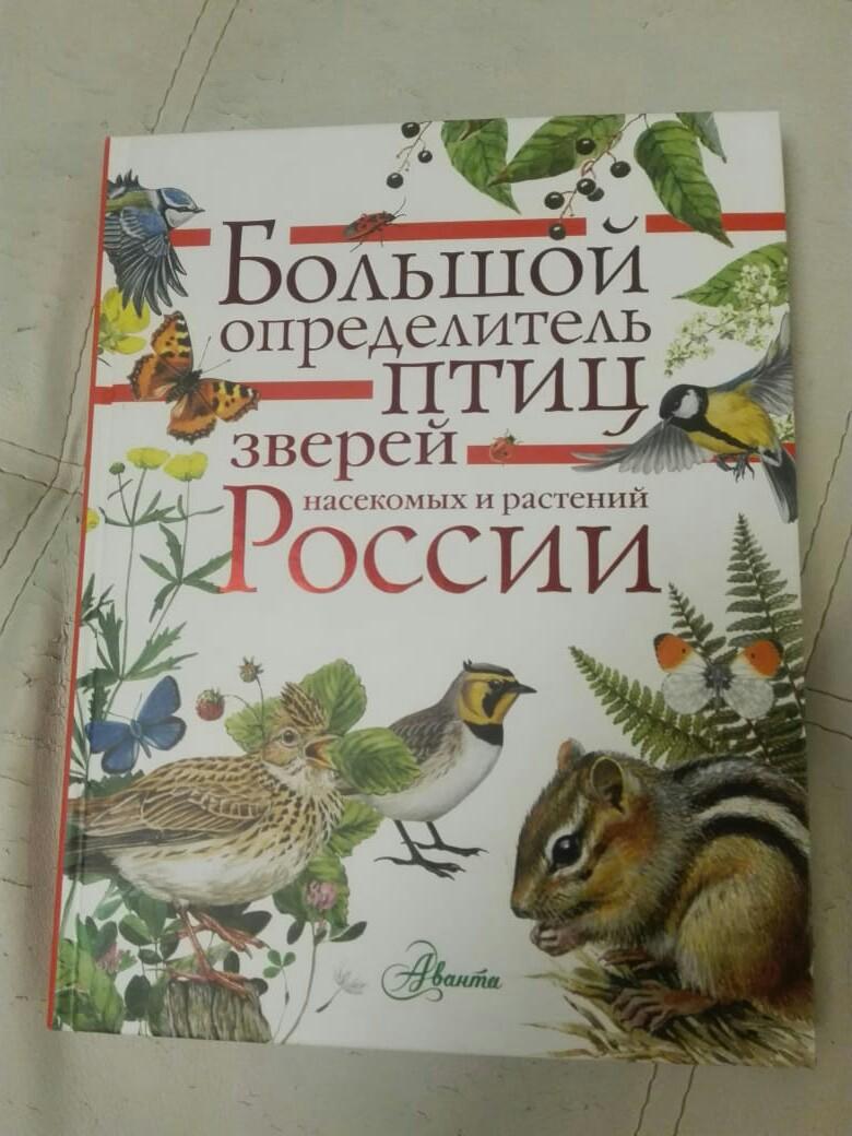 Хороший определитель. Определитель зверей. Определитель зверей России. Лучший определитель животные России. Волцит птицы России определитель.