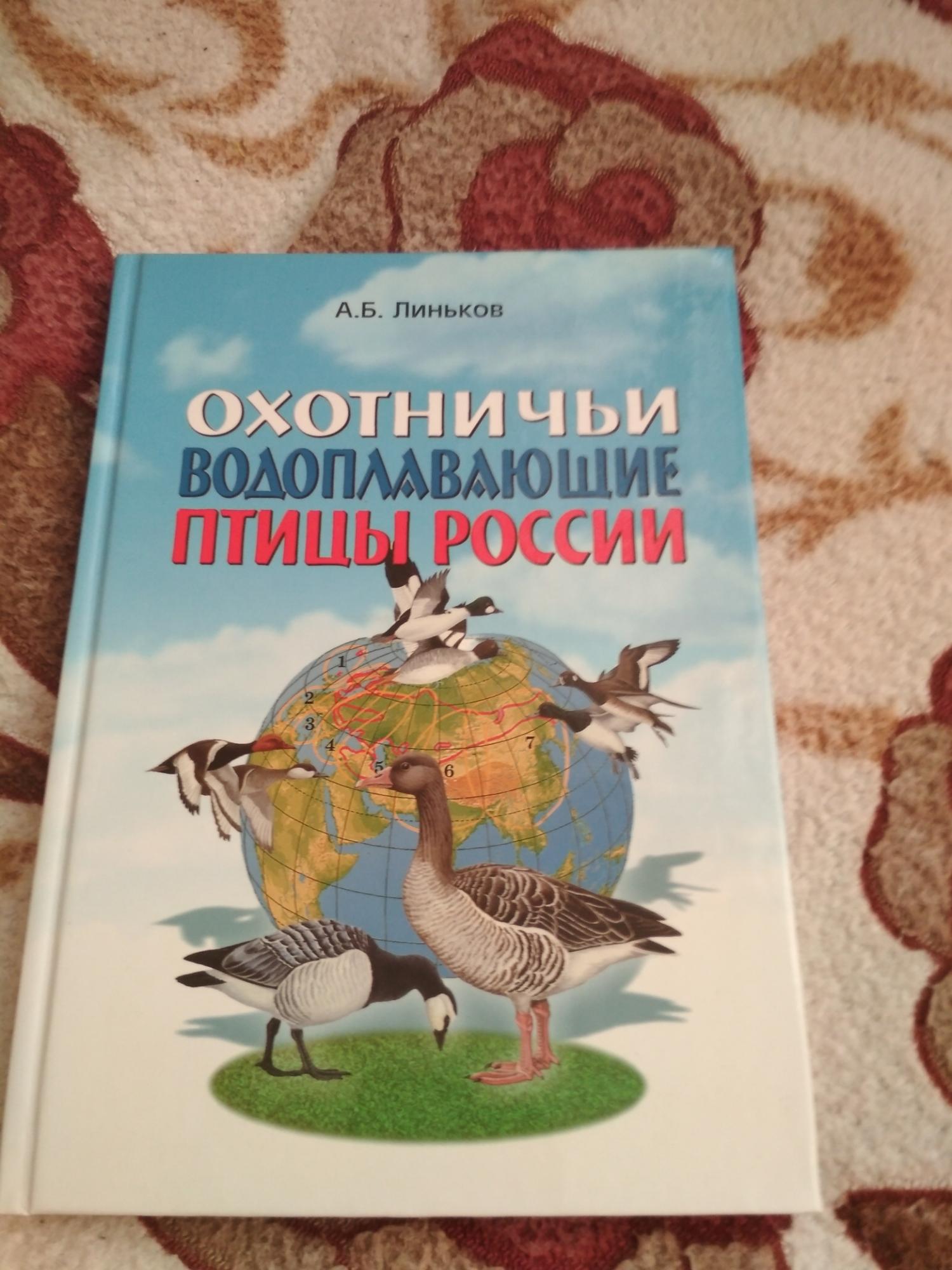 Охотничьи птицы россии фото с названиями