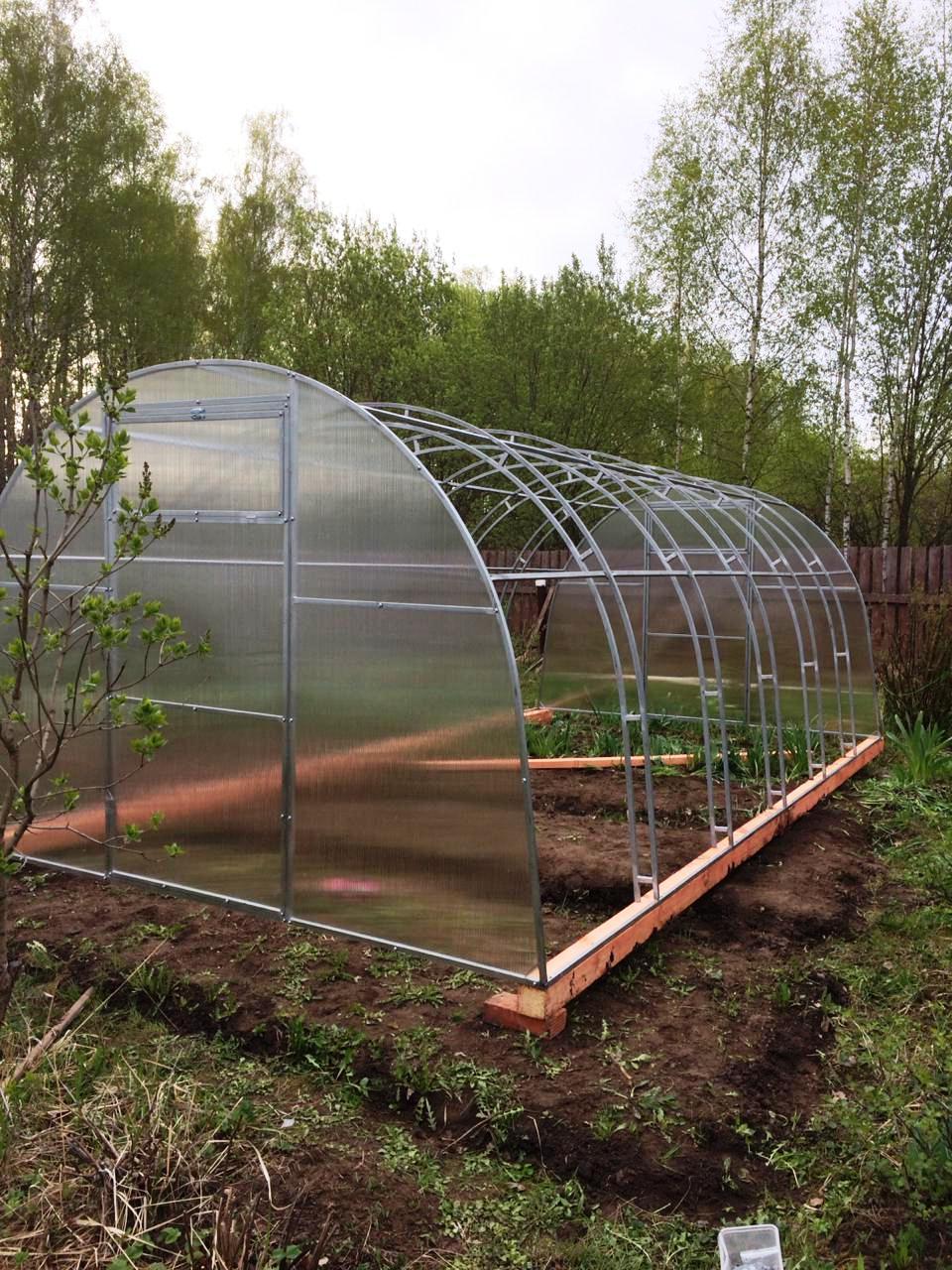 Теплица прямостенная арочная. Теплица с двойной аркой. Теплицы в выборге. Теплица оцинкованная. Теплица двойная дуга.