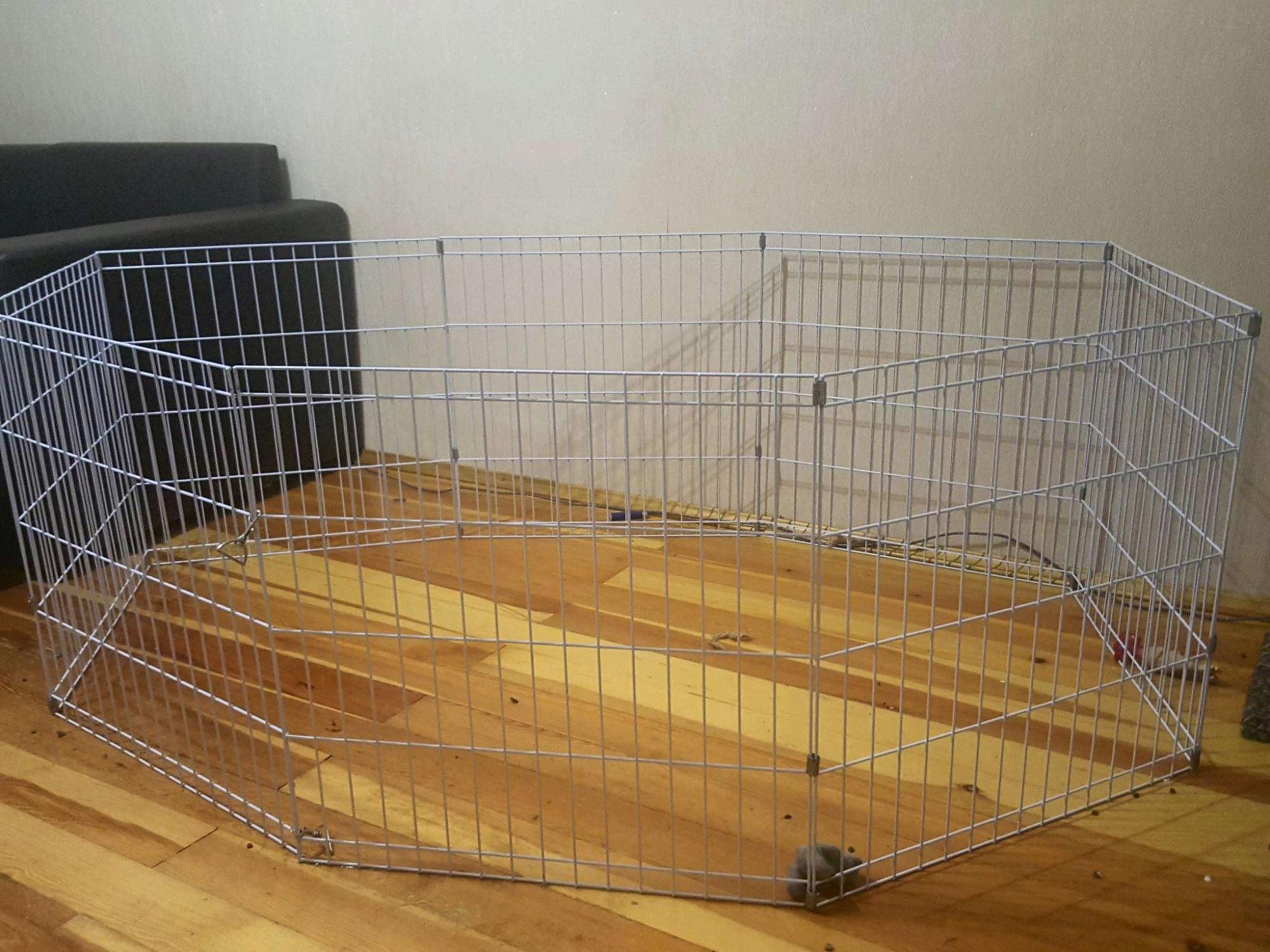 ее зовут джесси собачку. авито сургут животные отдам. авито сургут животные. авито сургут животные. авито сургут животные.