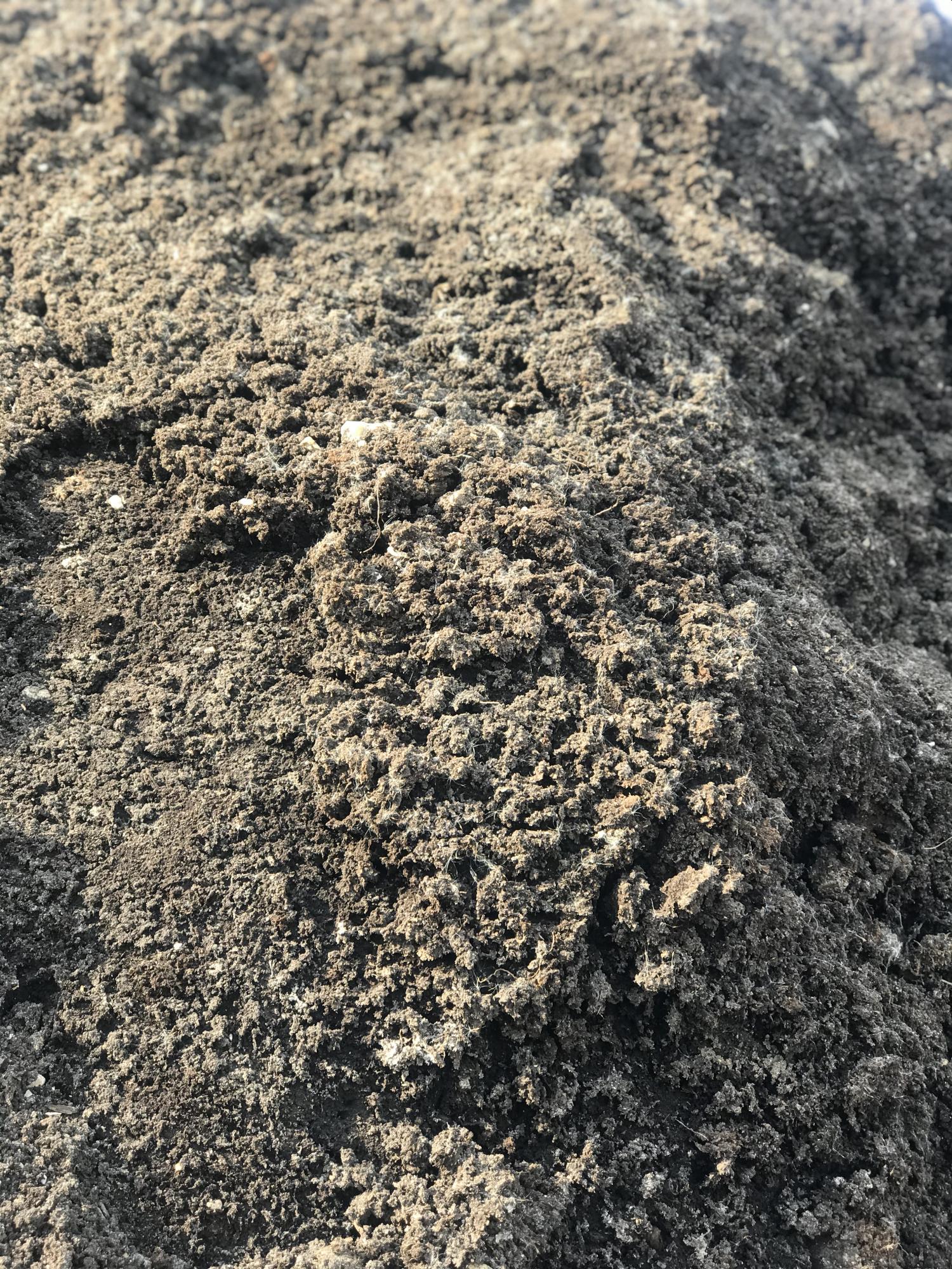 Грунт, песок, чернозем - фотография № 1