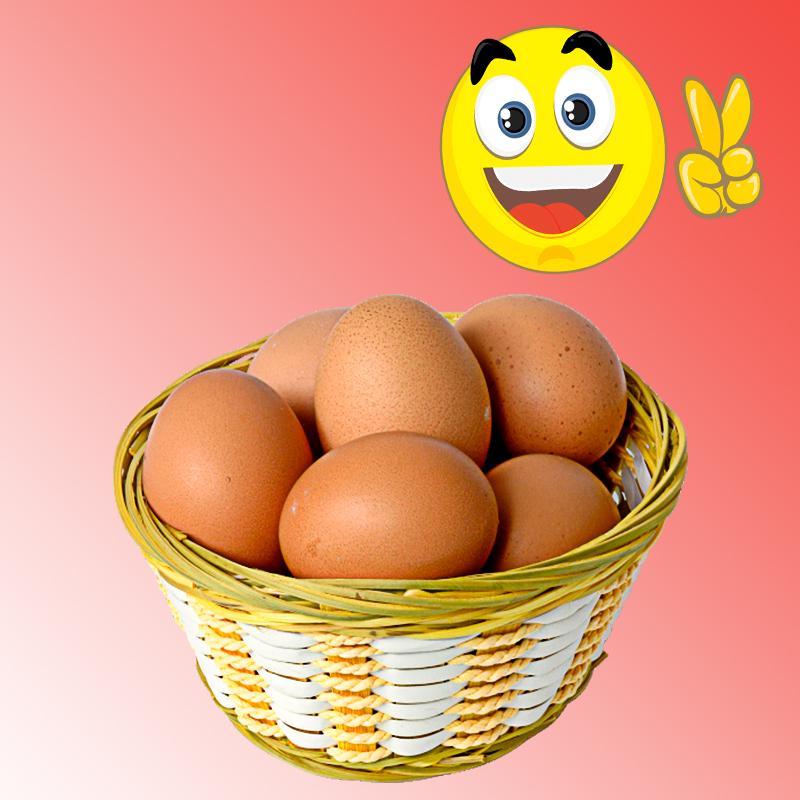 Яйцо инкубационное - фотография № 1