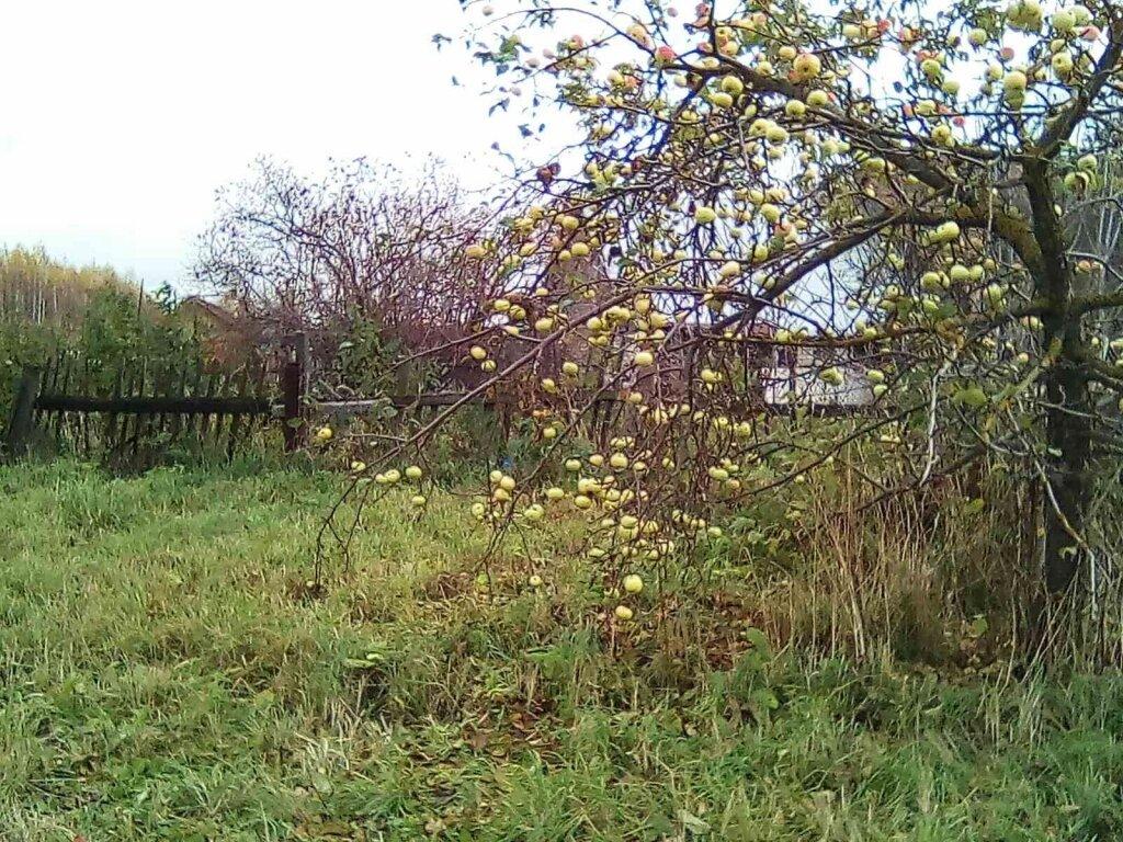 Участки под ижс в сургуте. Участки под ижс в сургуте